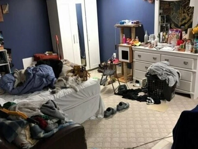 Экспресс уборка комнаты в доме
